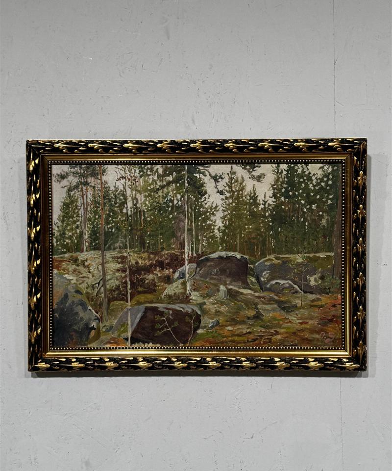 Taulu öljyväri metsämaisema O S