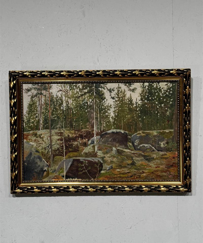 Taulu öljyväri metsämaisema O S