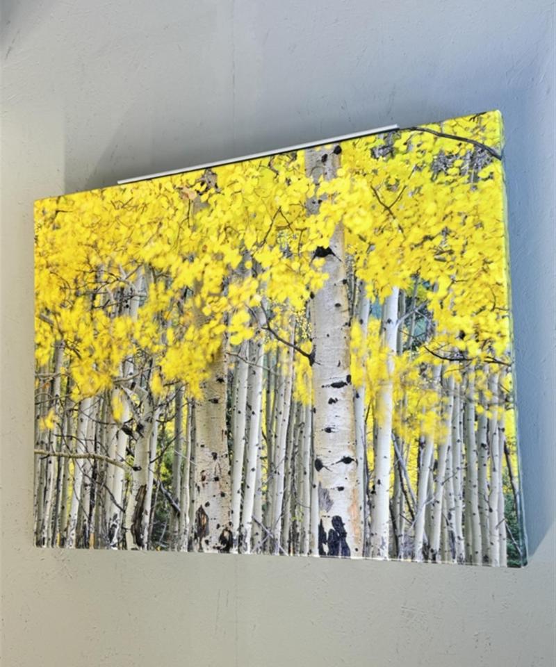 Isku Koivut 60x80 kanvaasi sisustus taulu