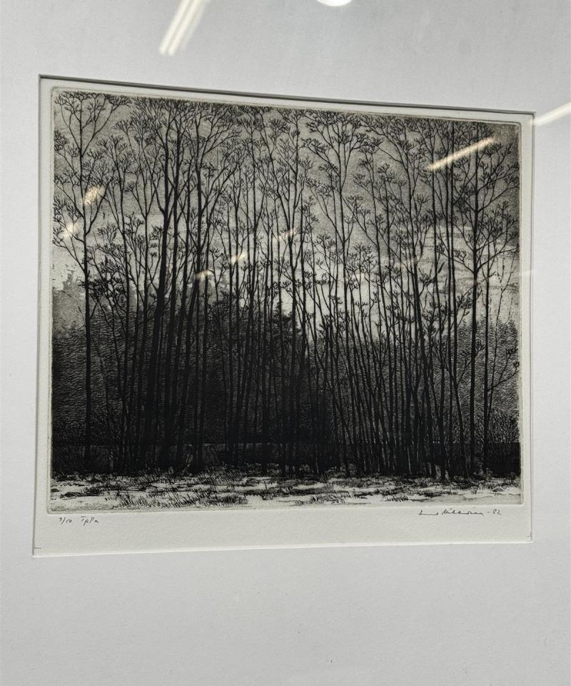 Taulu grafiikkateos metsämaisema Aune Mikkonen