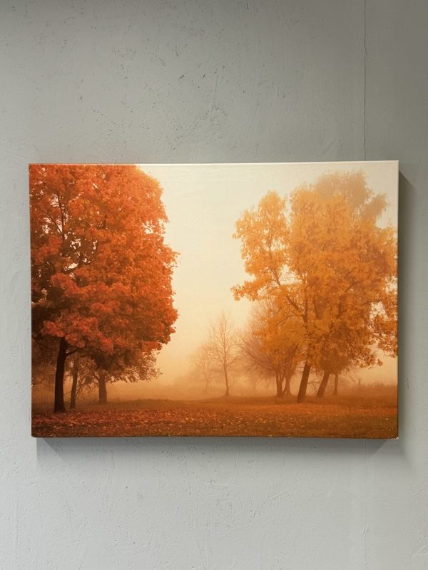 Isku Oranssi kanvaasi 60x80 sisustus taulu