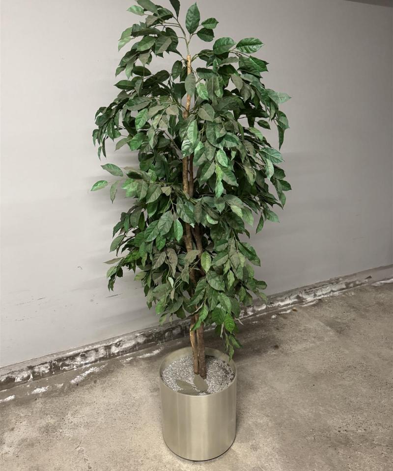 Tekokasvi hopea ruukussa