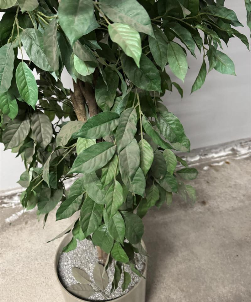 Tekokasvi hopea ruukussa