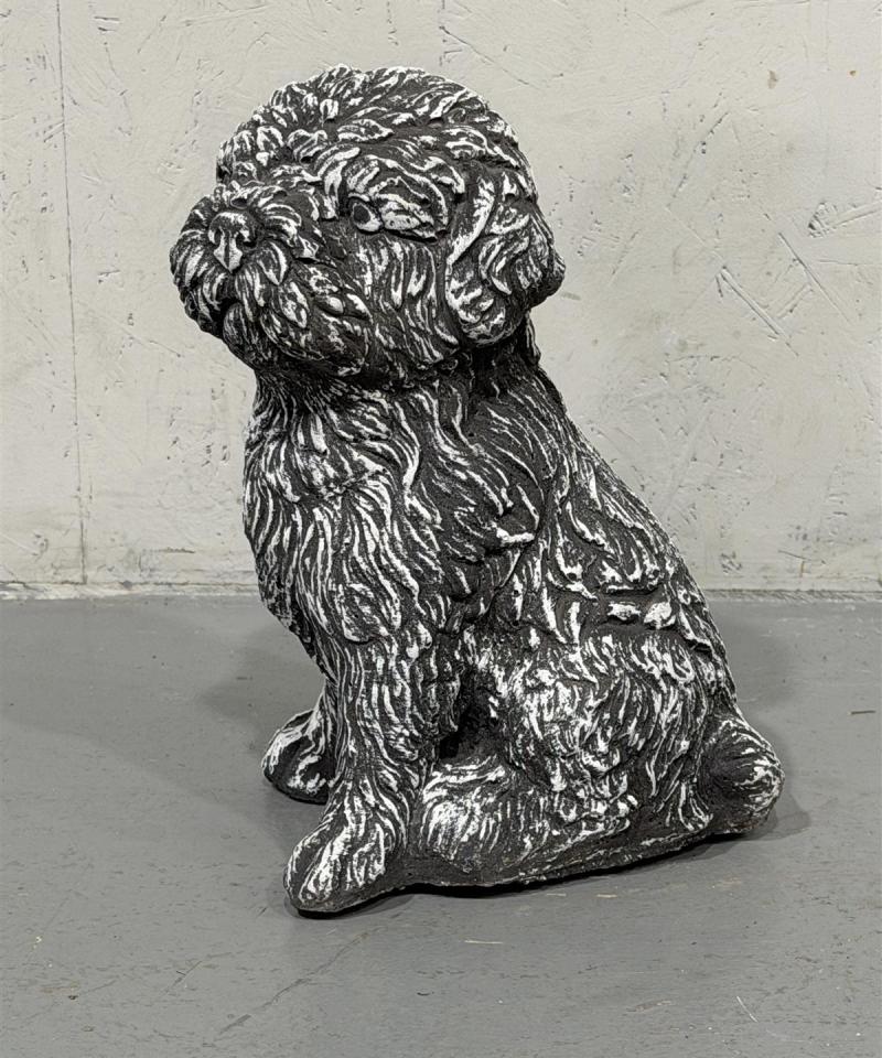 Shih Tzu koirapatsas
