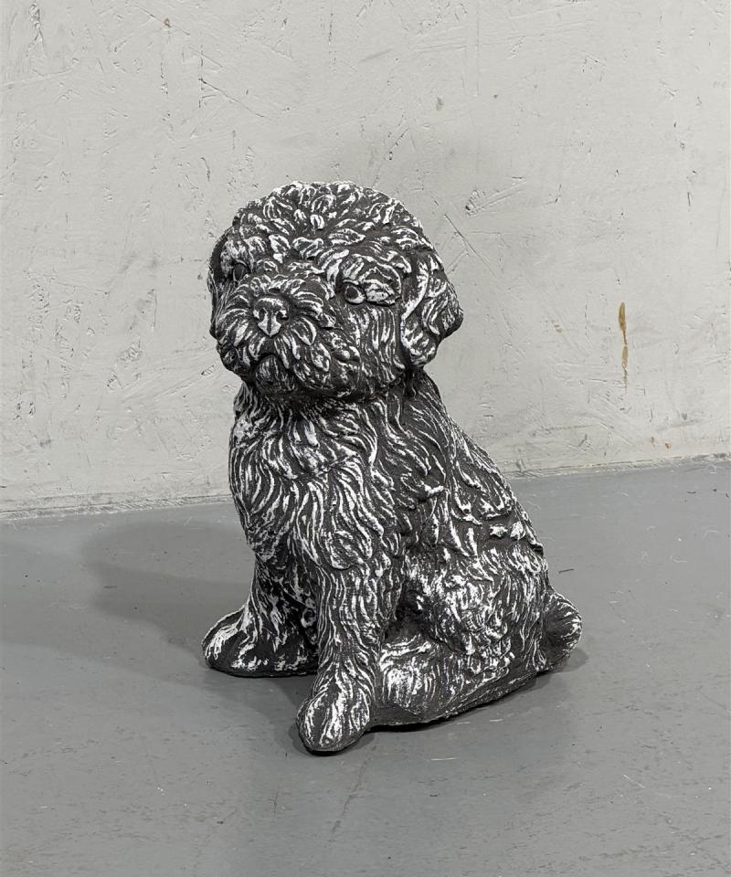 Shih Tzu koirapatsas