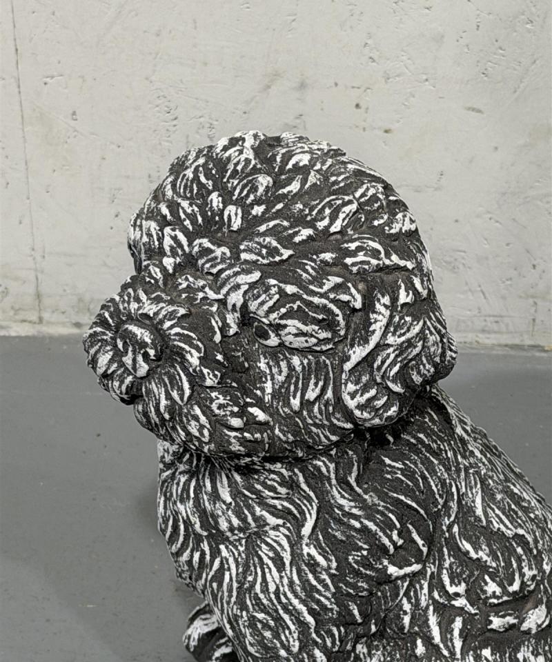Shih Tzu koirapatsas