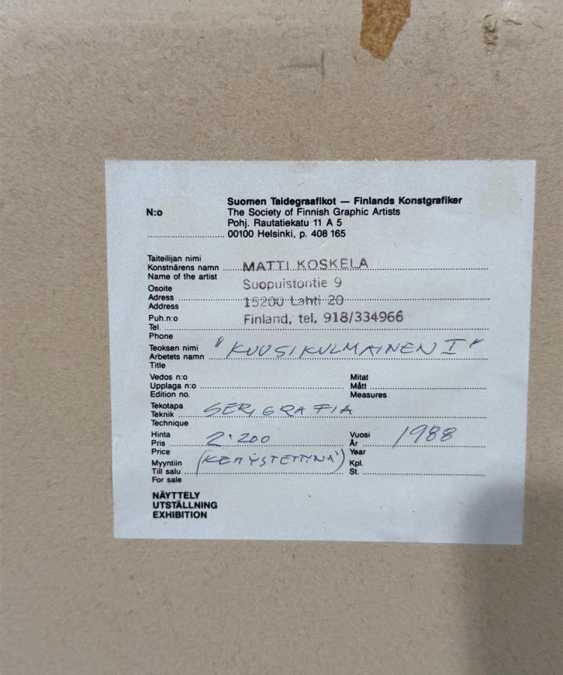 Taulu Serigrafia Kuusikulmainen I Matti Koskela