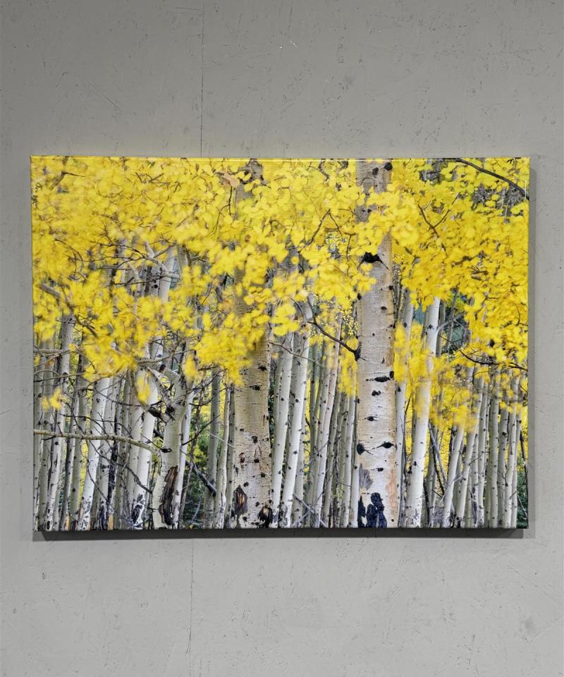 Isku 80x60 ääntä vaimentava kanvaasitaulu (4 kpl)
