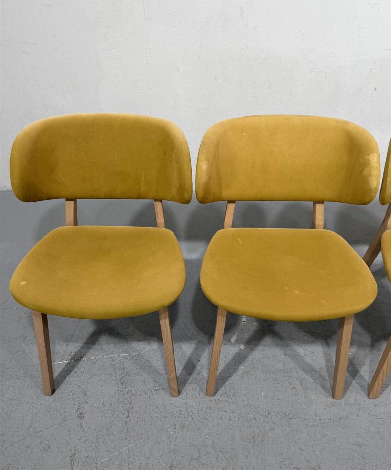 Calligaris Claire tuolit (4kpl)