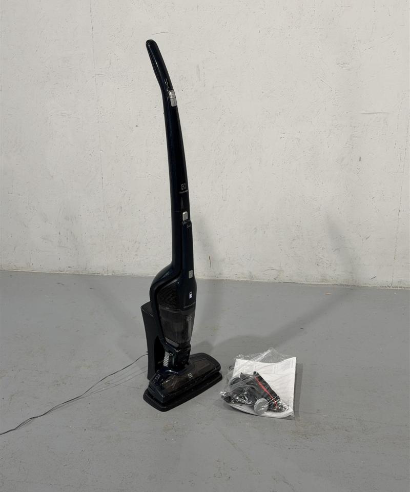 Electrolux Ergorapido varsi-imuri