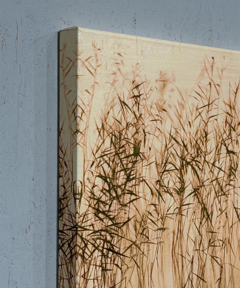 Ääntä vaimentava kanvaasi 60x80 "kaislat"